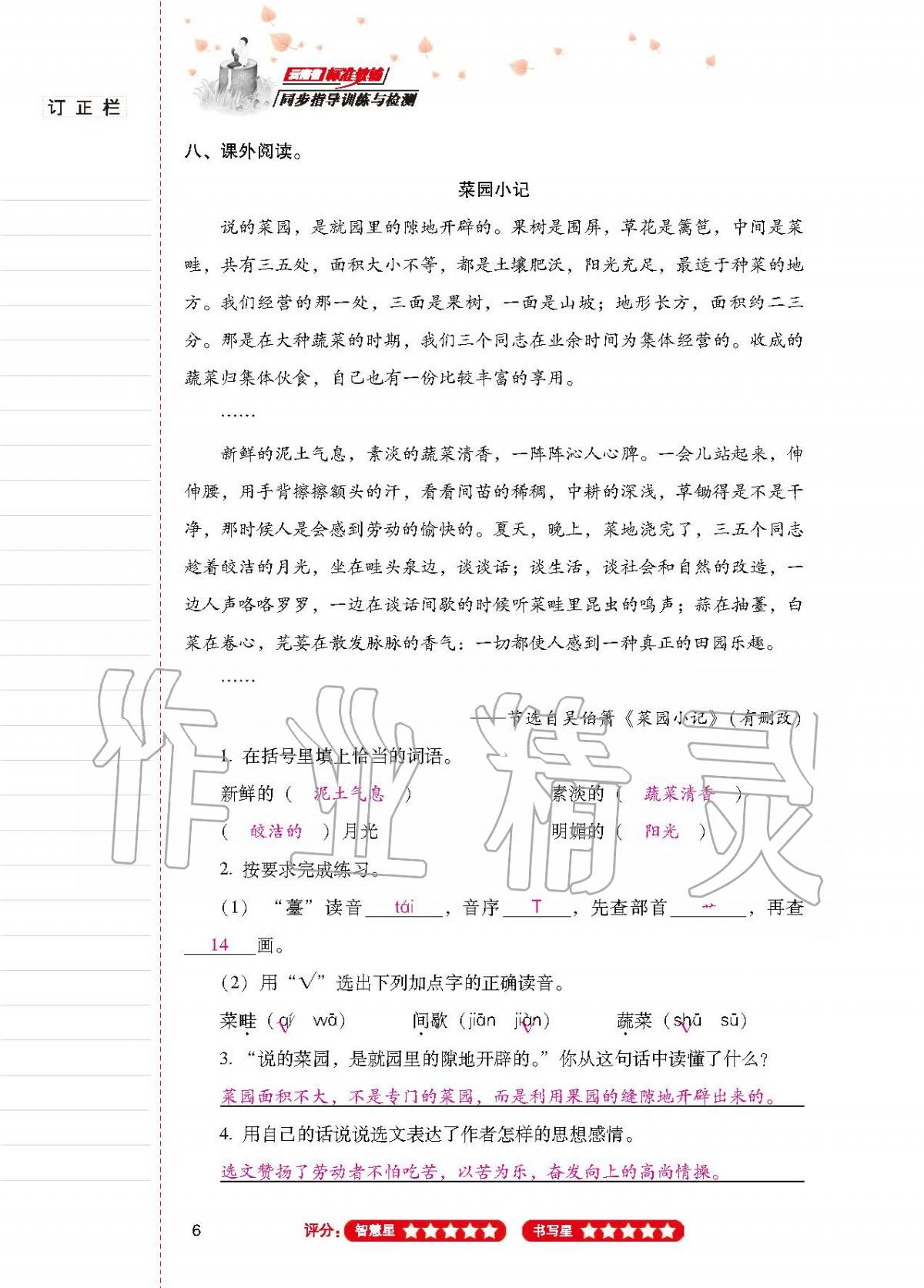 2020年云南省标准教辅同步指导训练与检测五年级语文下册人教版 第5页