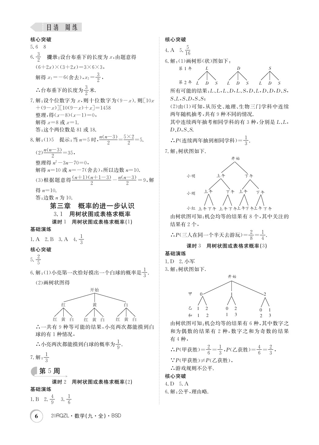 2019年日清周練限時提升卷九年級數(shù)學全一冊北師大版 參考答案第6頁