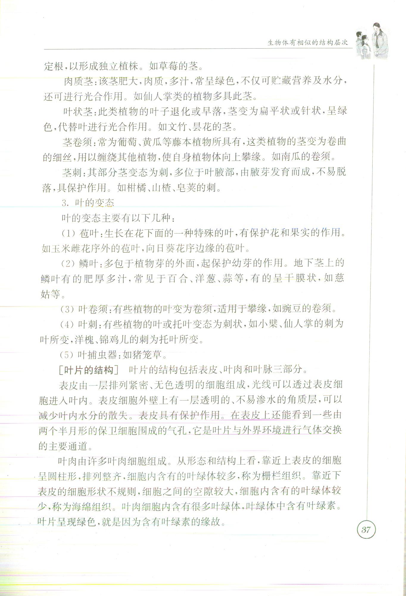 2020年課本七年級(jí)生物蘇科版 參考答案第39頁(yè)