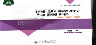 2020年人教金学典同步解析与测评学考练五年级语文下册人教版