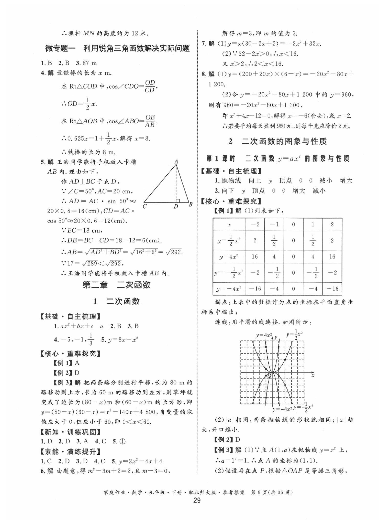 2020年家庭作業(yè)九年級(jí)數(shù)學(xué)下冊(cè)北師大版 第9頁(yè)