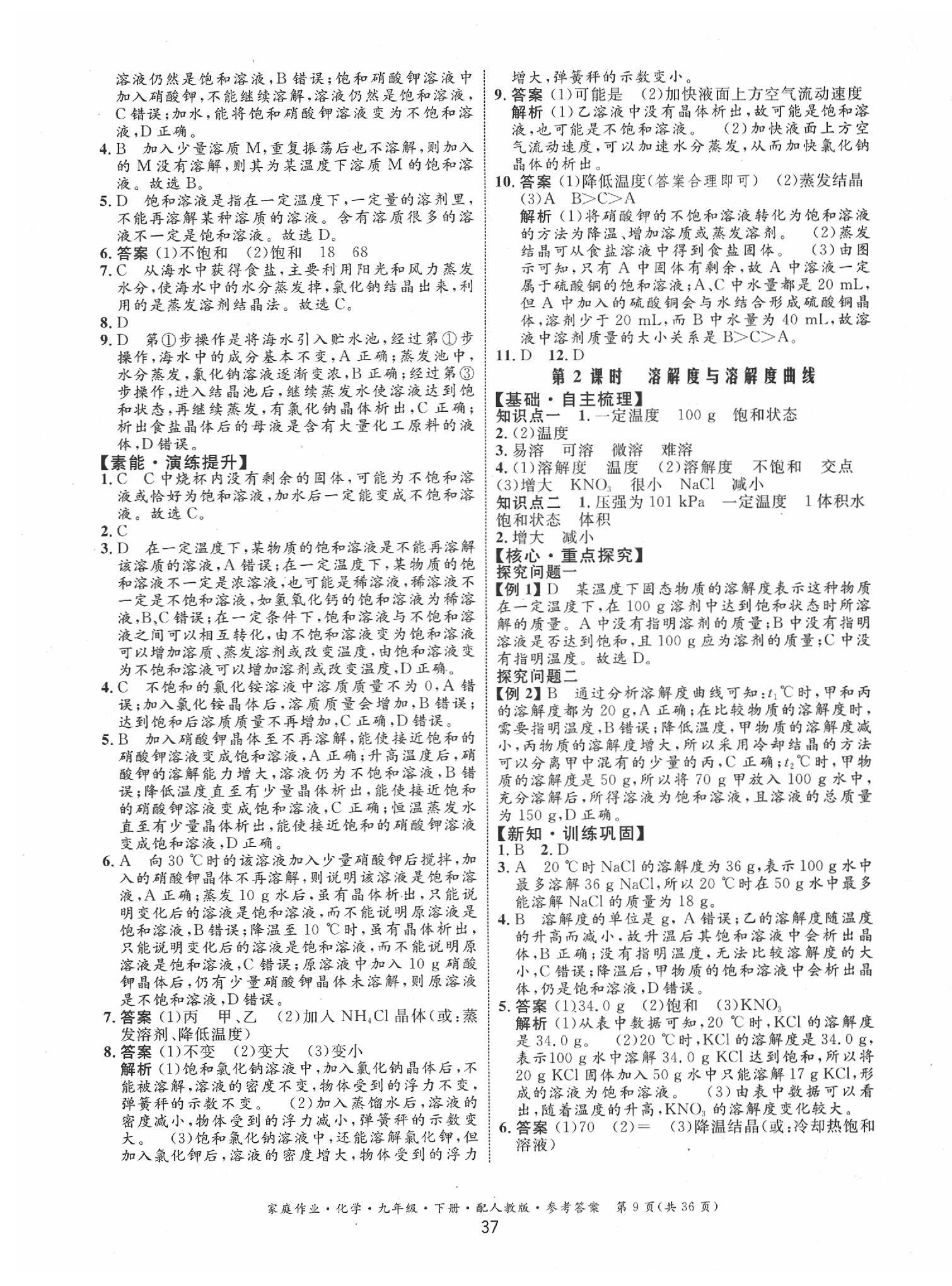 2020年家庭作業(yè)九年級化學(xué)下冊人教版 第9頁