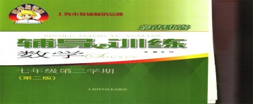 2020年新思路輔導(dǎo)與訓(xùn)練七年級數(shù)學(xué)第二學(xué)期滬教版