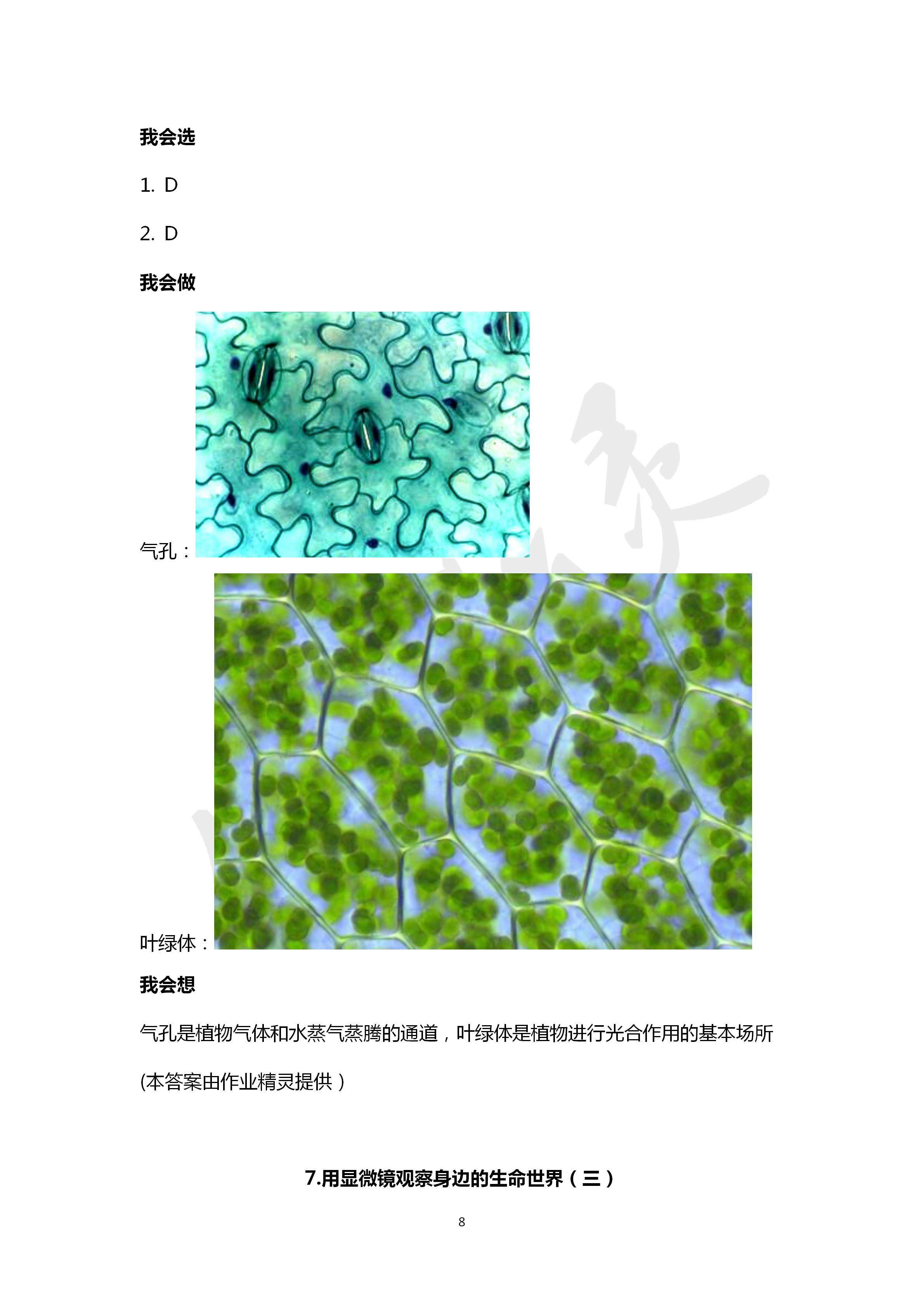 2020年新思維伴你學六年級科學下冊教科版 第8頁