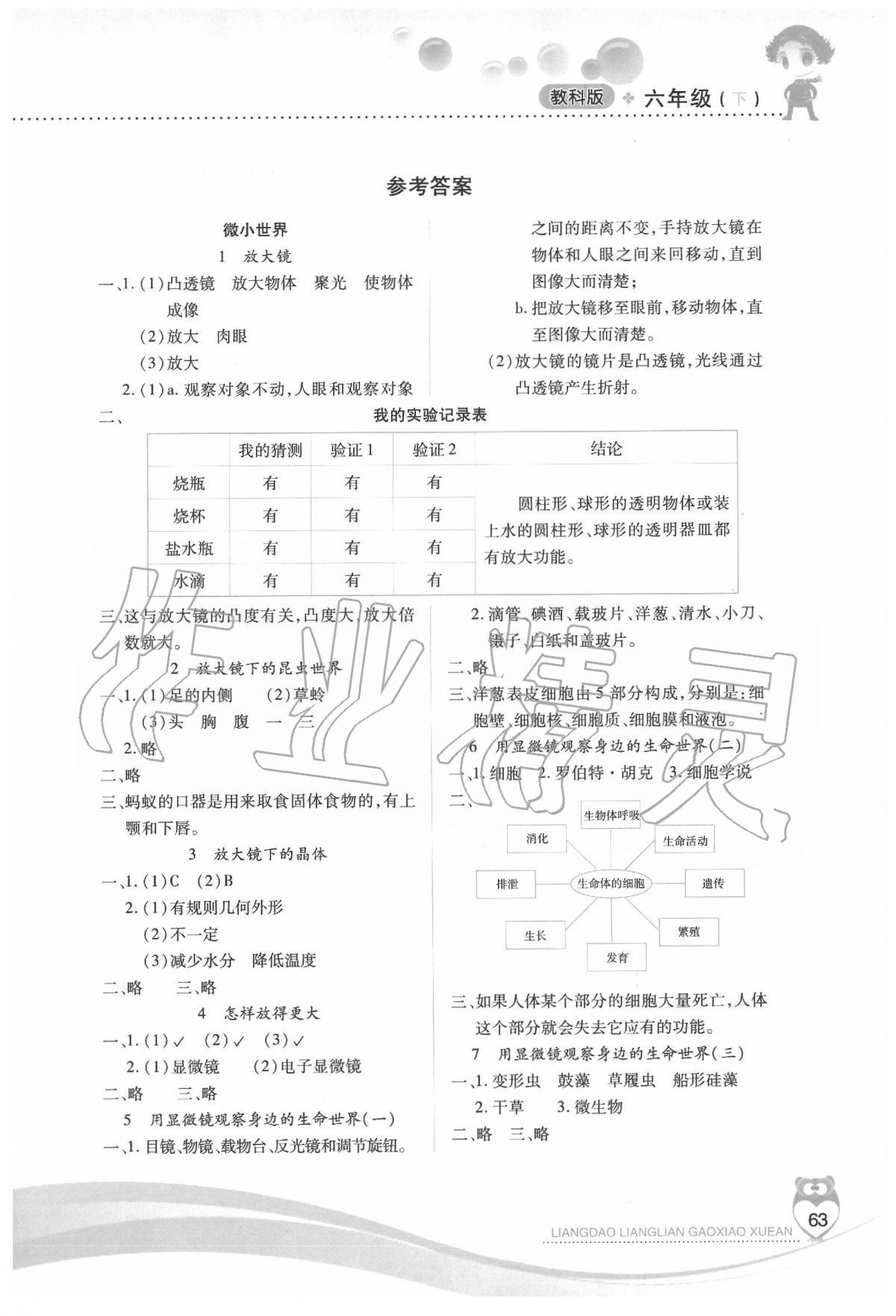 2020年新課標(biāo)兩導(dǎo)兩練高效學(xué)案六年級科學(xué)下冊教科版 第1頁