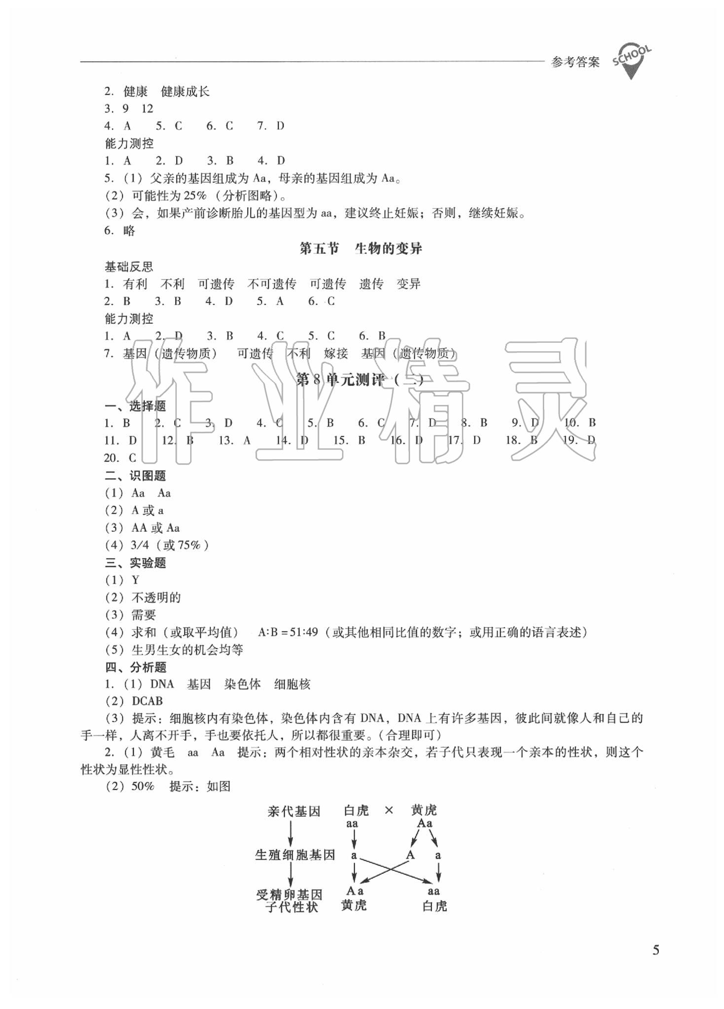 2020新課程問(wèn)題解決導(dǎo)學(xué)方案八年級(jí)生物學(xué)下冊(cè)鳳凰版 第5頁(yè)