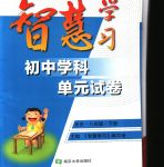 2020年智慧學(xué)習(xí)初中學(xué)科單元試卷八年級(jí)歷史下冊(cè)人教版