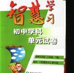 2020年智慧学习初中学科单元试卷八年级道德与法治下册