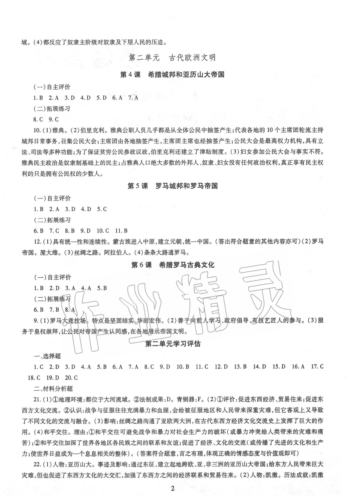 2019年智慧學(xué)習(xí)九年級世界歷史全一冊人教版 第2頁