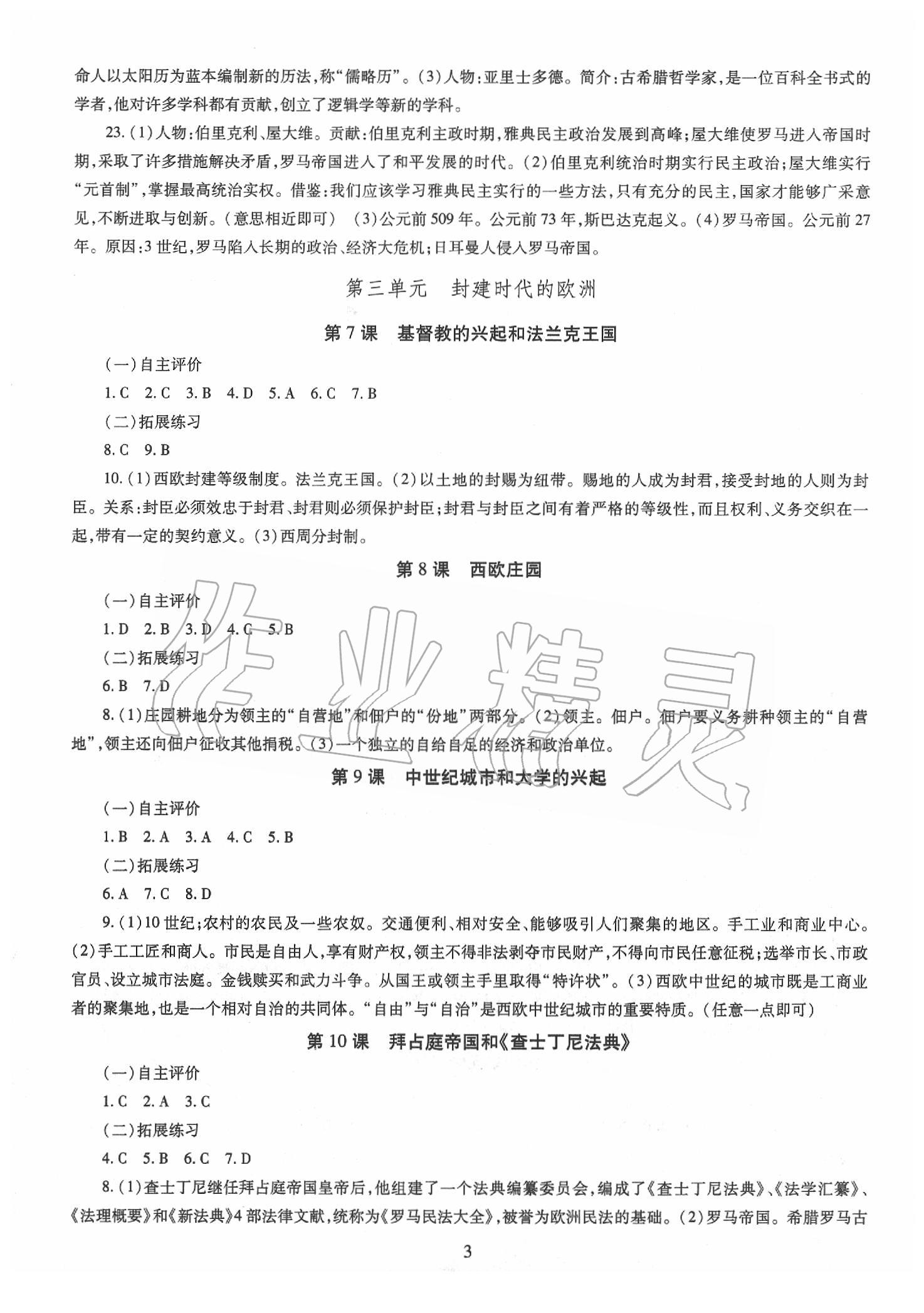 2019年智慧學(xué)習(xí)九年級世界歷史全一冊人教版 第3頁