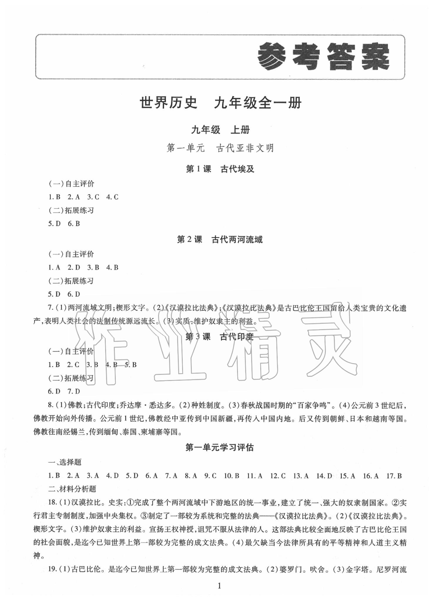 2019年智慧學習九年級世界歷史全一冊人教版 第1頁