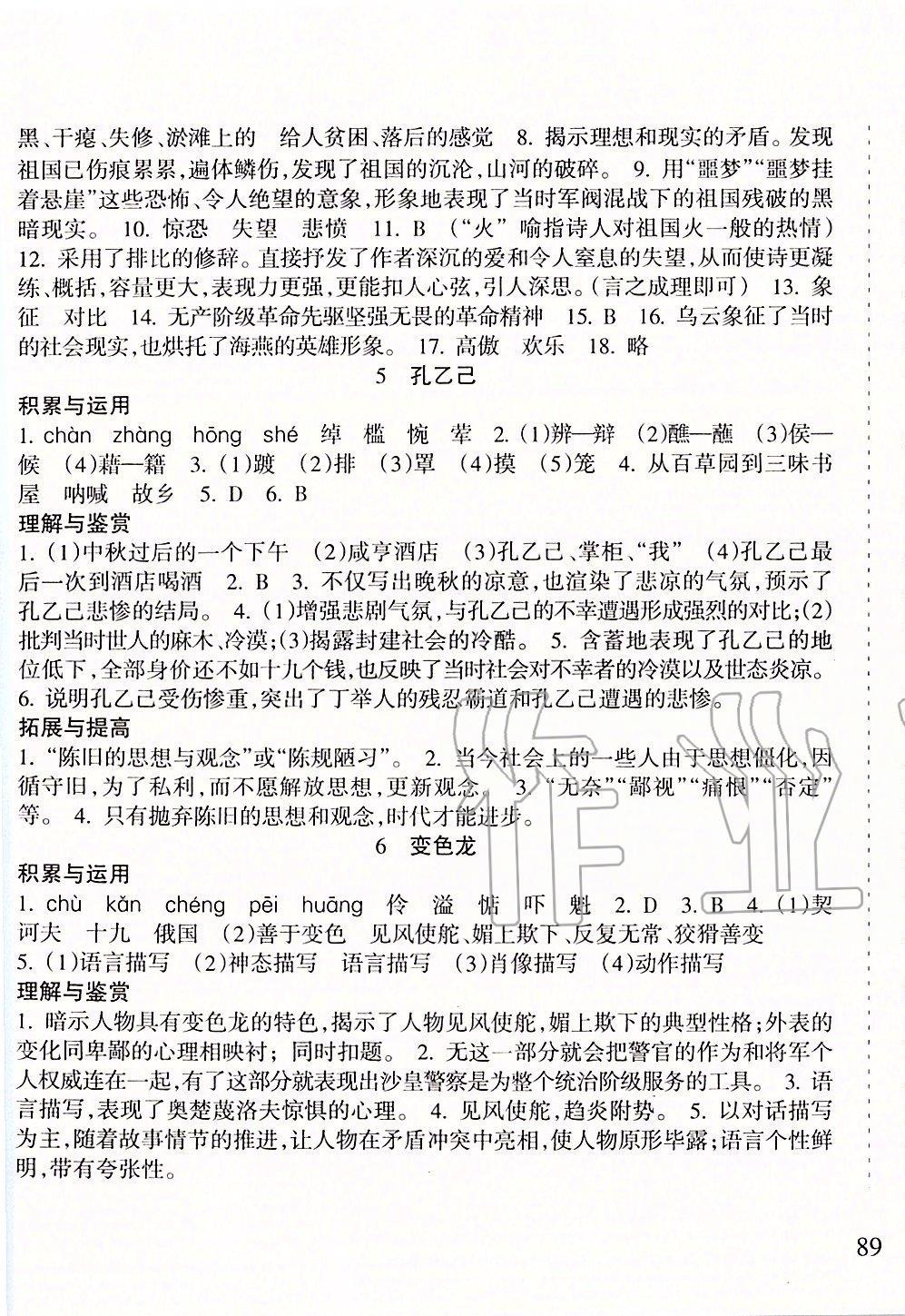 2020年新课程课堂同步练习册九年级语文下册人教版 第3页