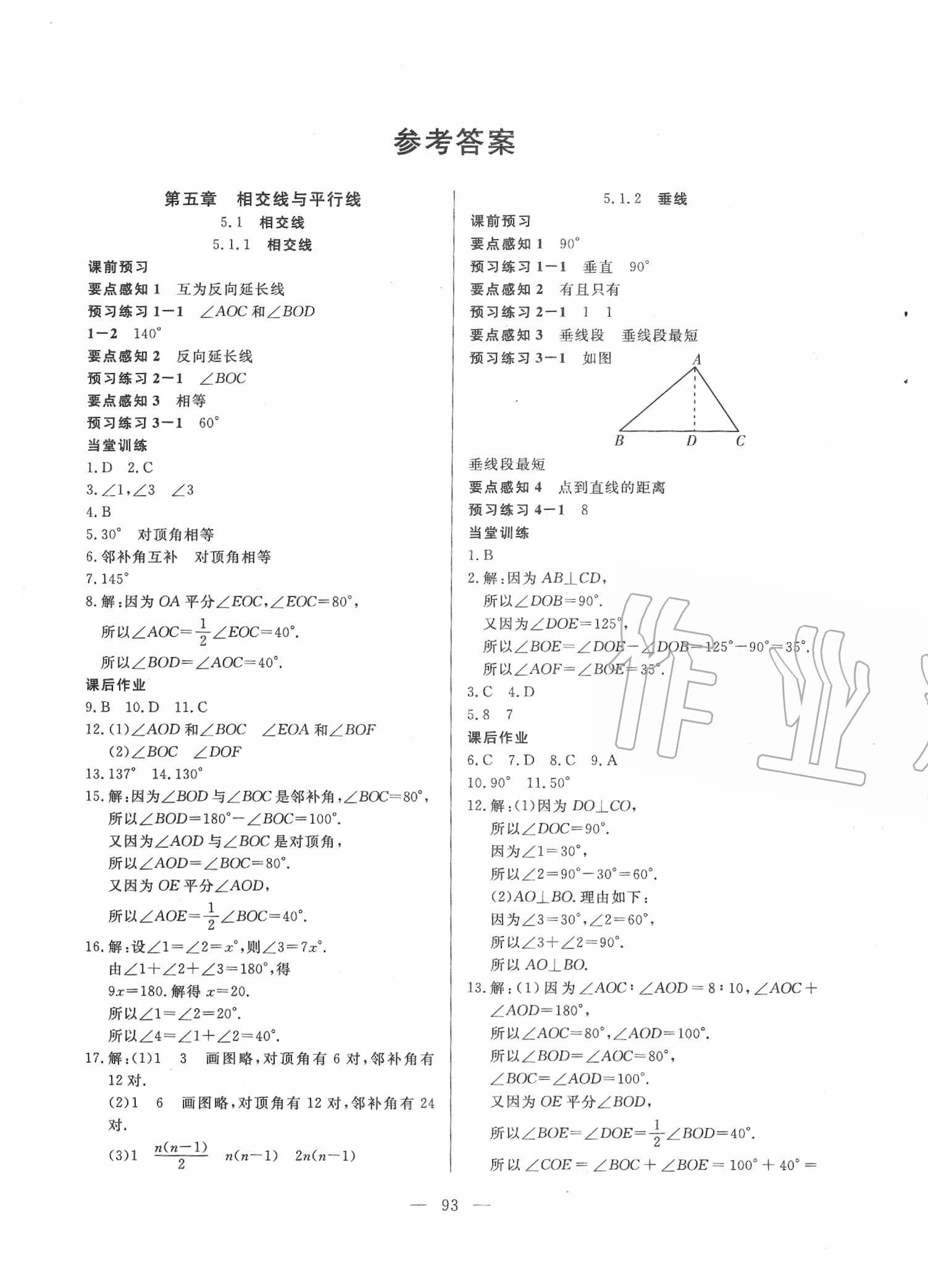 2020年自主訓(xùn)練七年級(jí)數(shù)學(xué)下冊(cè)人教版 參考答案第1頁(yè)