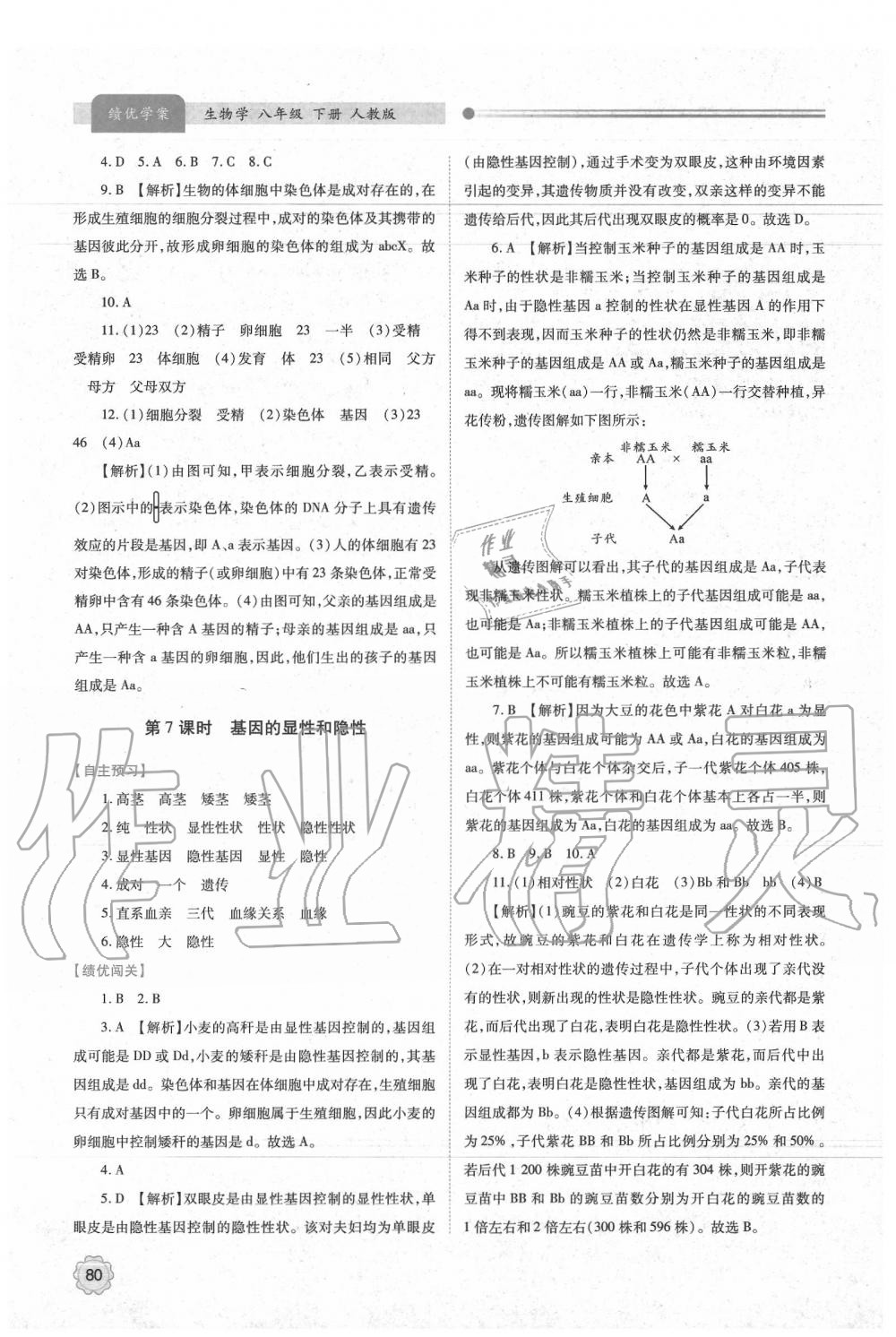 2020年績優(yōu)學(xué)案八年級(jí)生物學(xué)下冊人教版 第4頁