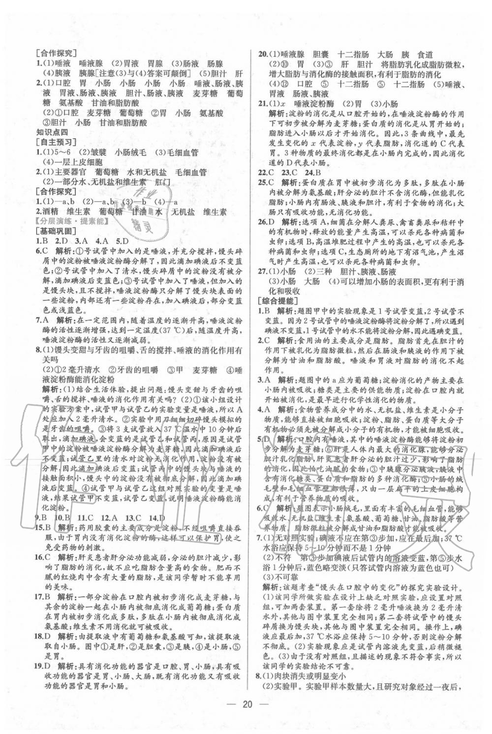 2020年同步学历案课时练七年级生物学下册人教版 第4页