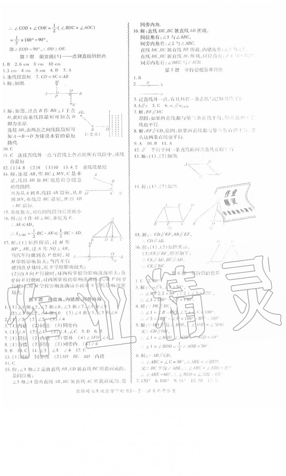 2020年零障碍导教导学案七年级数学下册人教版 第3页