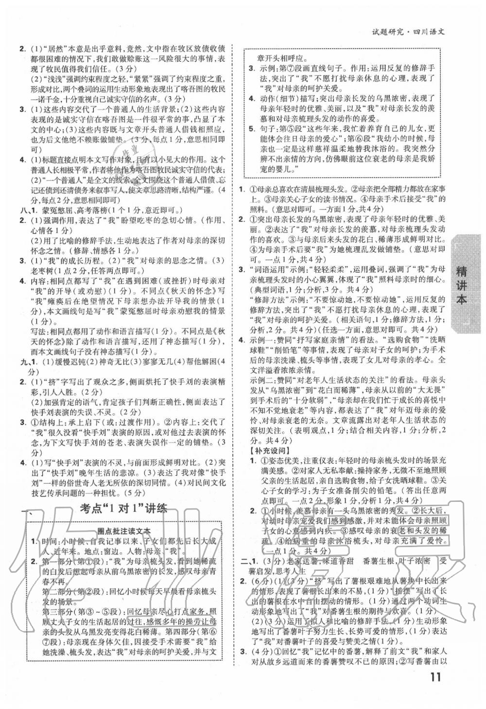 2020年万唯教育中考试题研究九年级语文四川专版 第11页