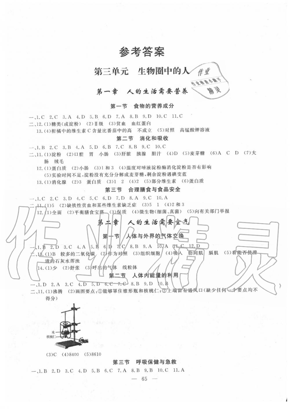 2020年同步練習(xí)冊七年級生物下冊濟南版山東科學(xué)技術(shù)出版社 參考答案第1頁