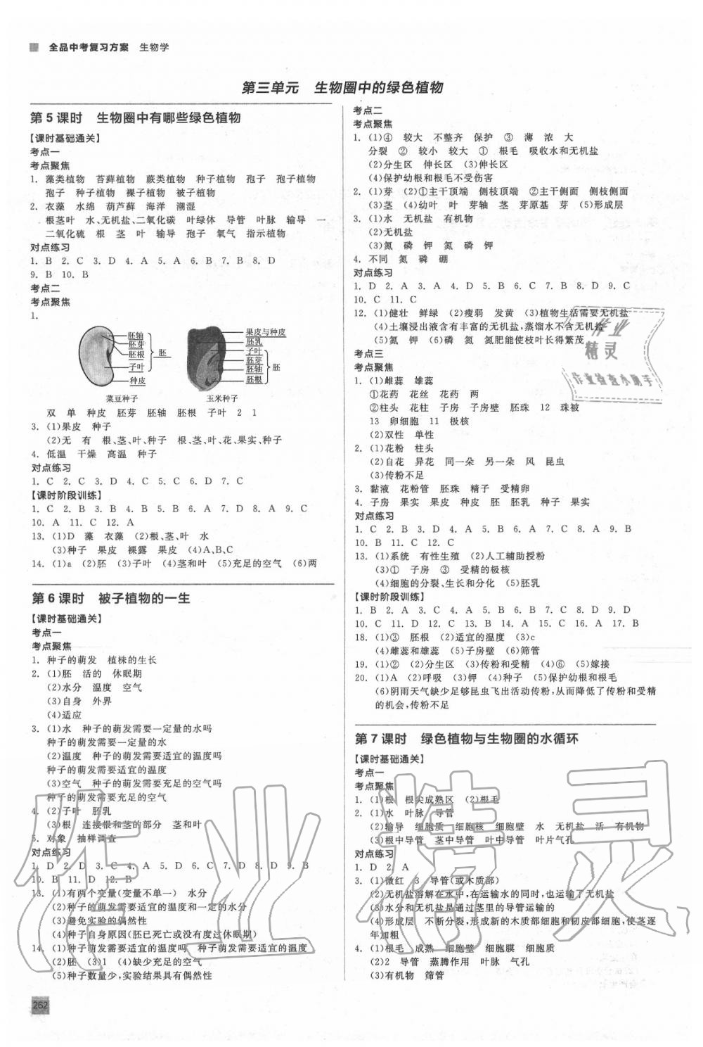 2020年全品中考復(fù)習(xí)方案生物包頭專版 參考答案第3頁