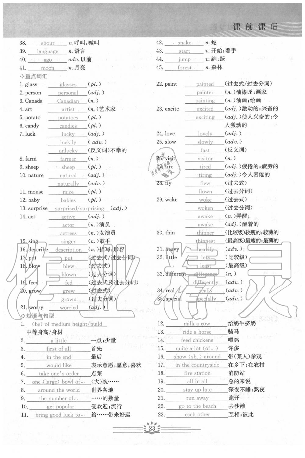 2020年思维新观察中考英语 第23页