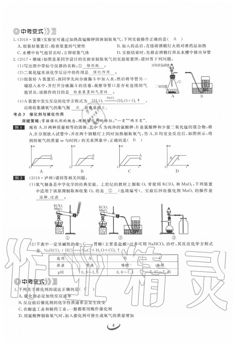 2020年思维新观察中考化学 第5页