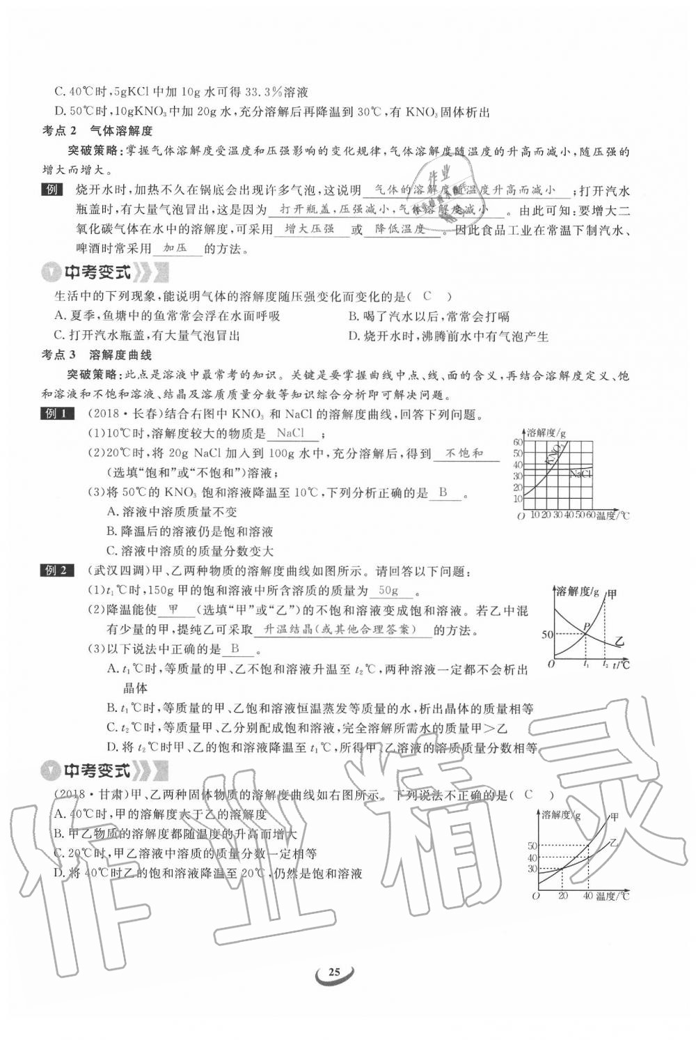 2020年思维新观察中考化学 第25页