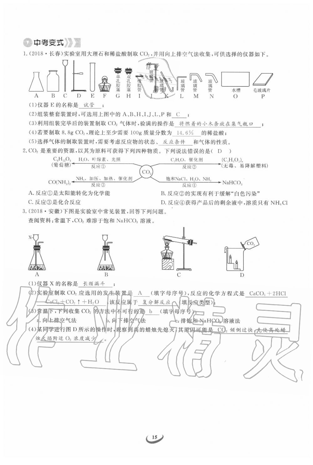 2020年思维新观察中考化学 第15页