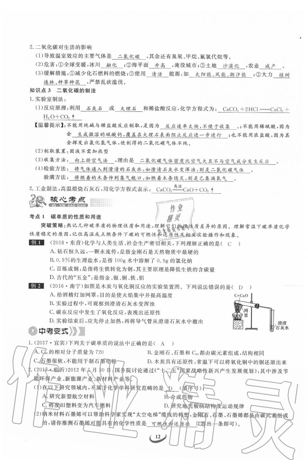 2020年思维新观察中考化学 第12页