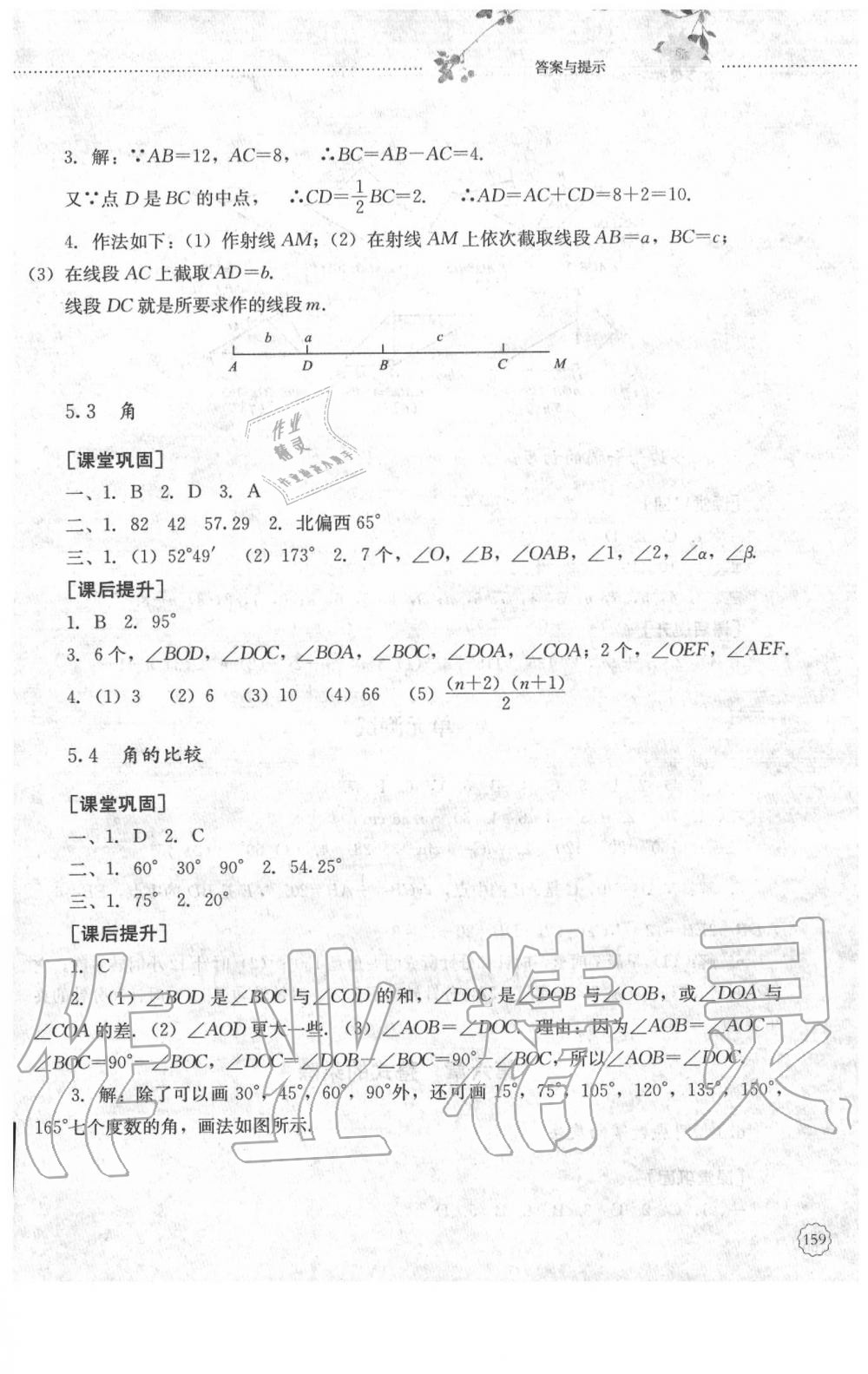 2020年同步訓練六年級數(shù)學下冊魯教版山東文藝出版社 參考答案第4頁