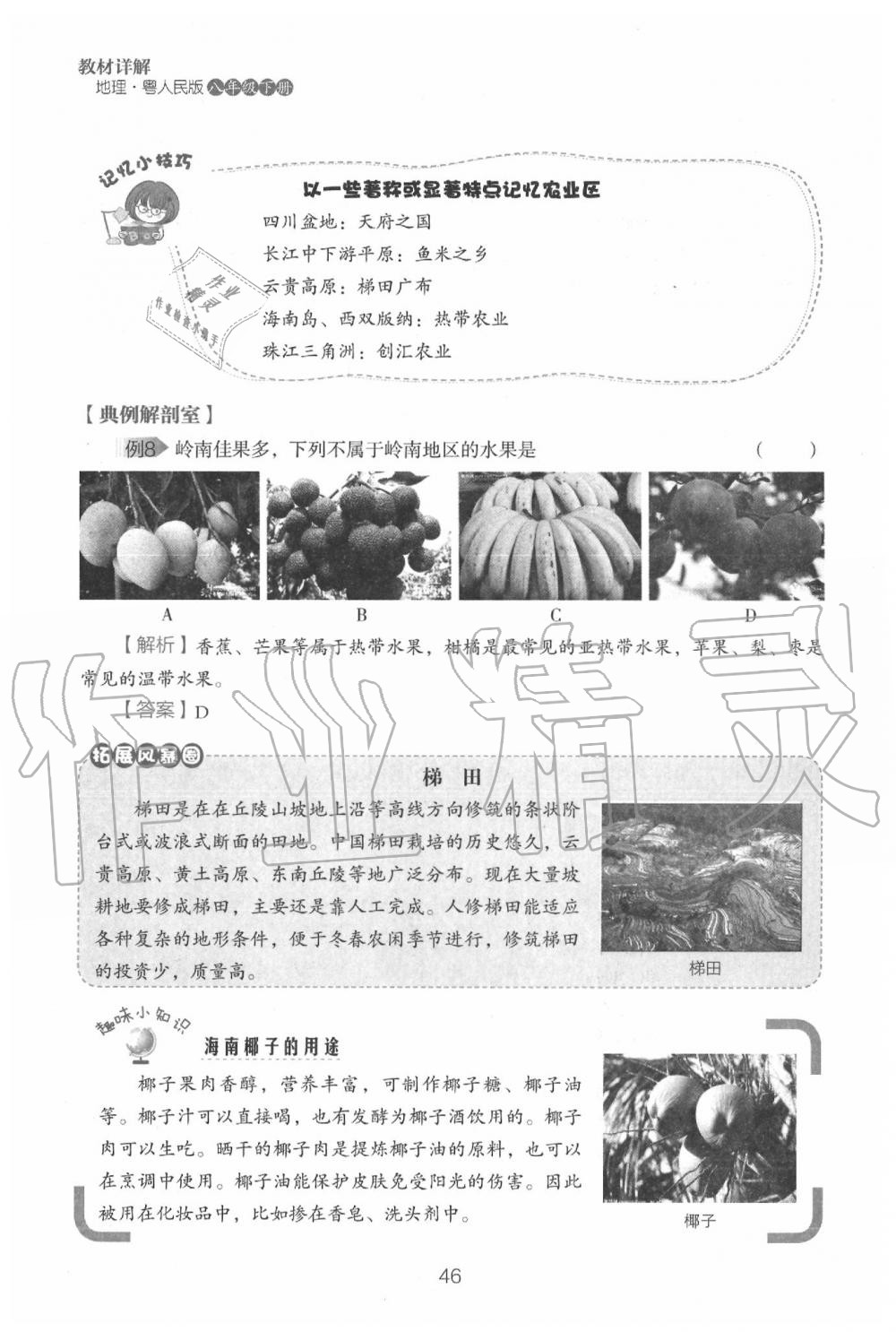 2020年教材课本八年级地理下册粤人版&nbsp;参考答案第48页