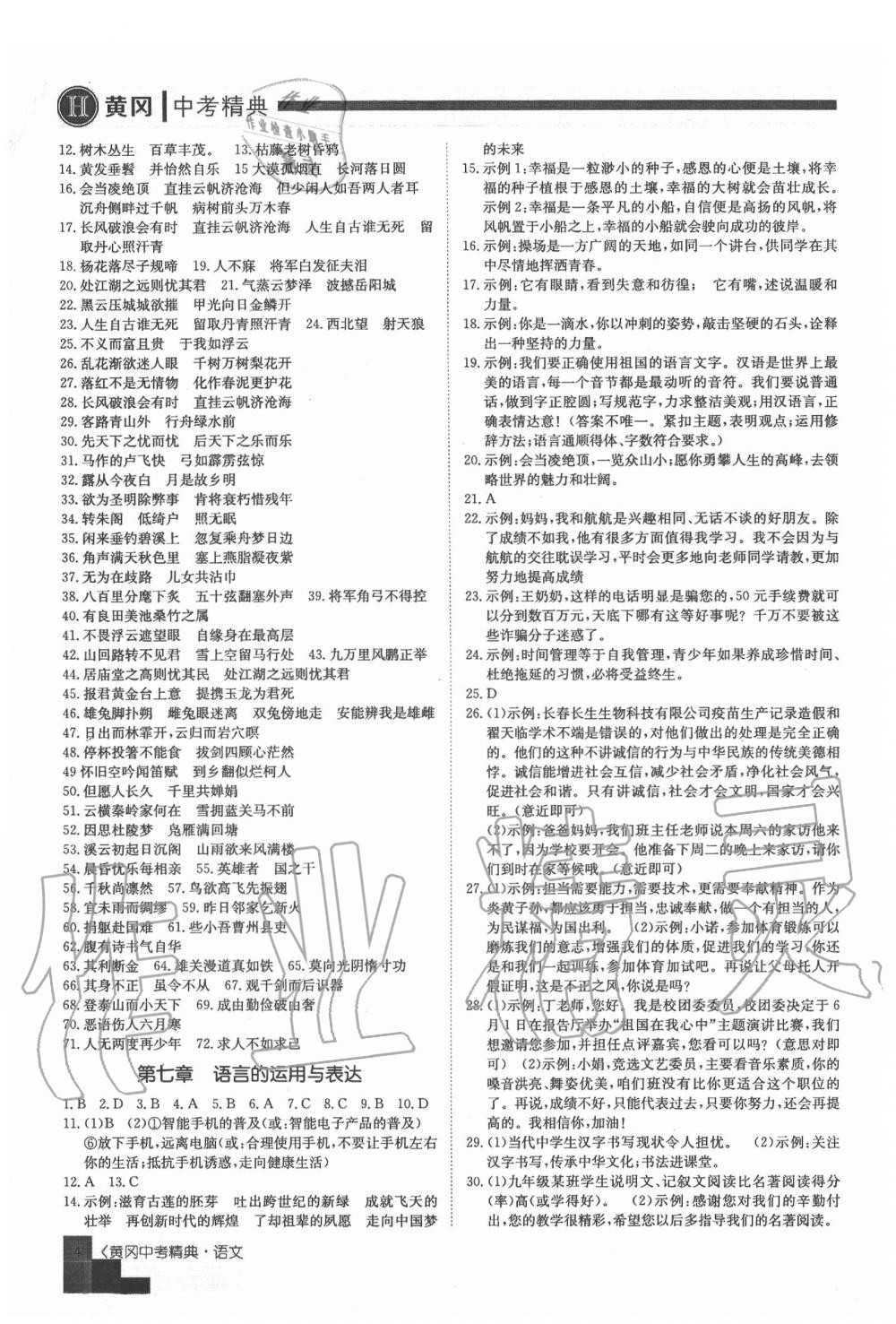 2020年中考精典九年級語文 第4頁