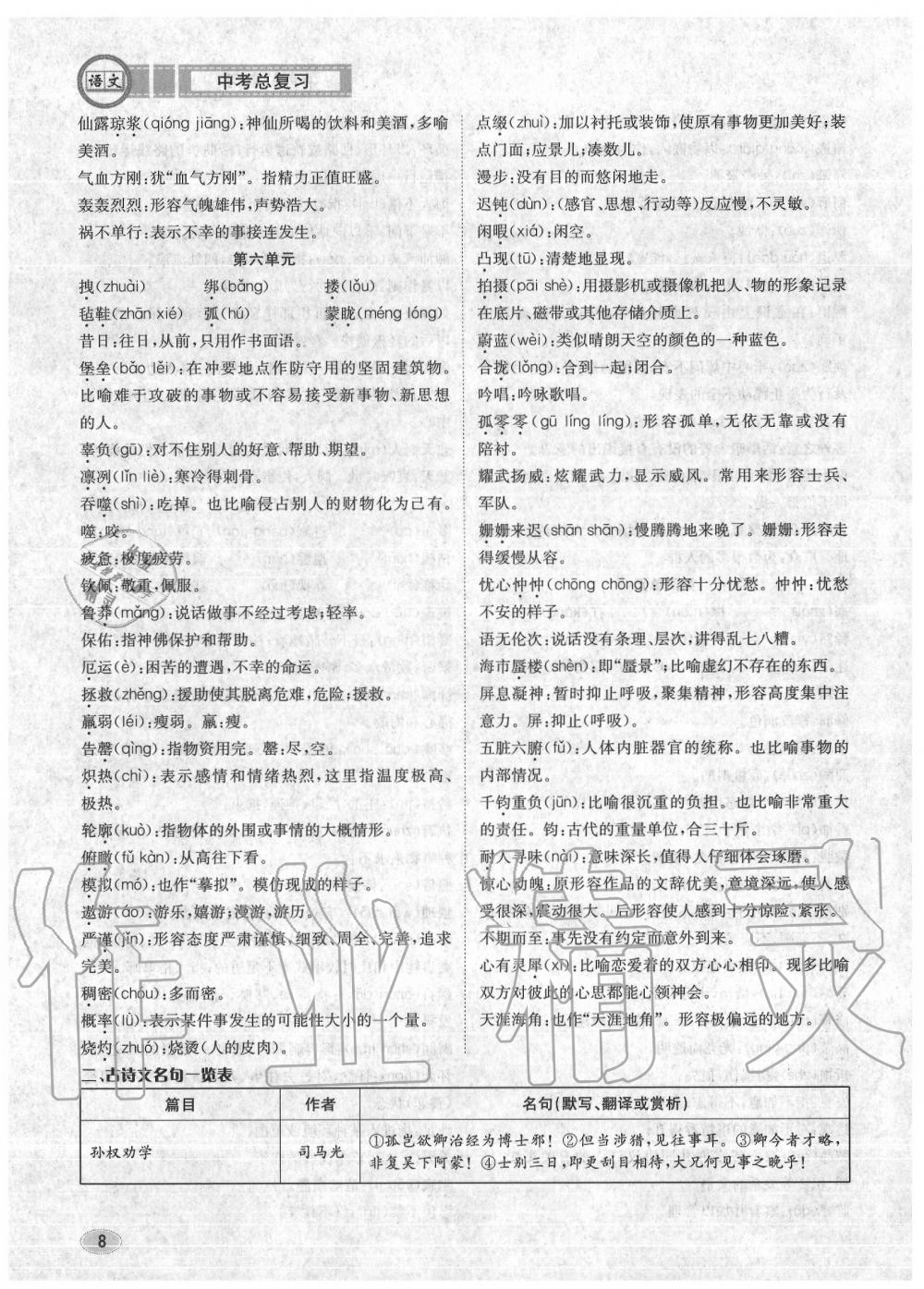 2020年中考总复习长江出版社九年级语文中考用书 参考答案第9页