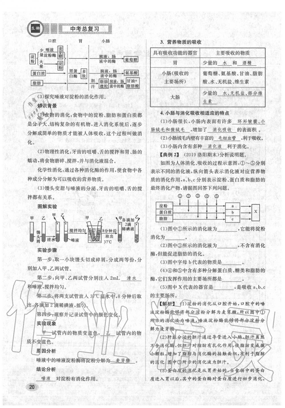 2020年中考總復習長江出版社九年級生物中考用書 參考答案第21頁