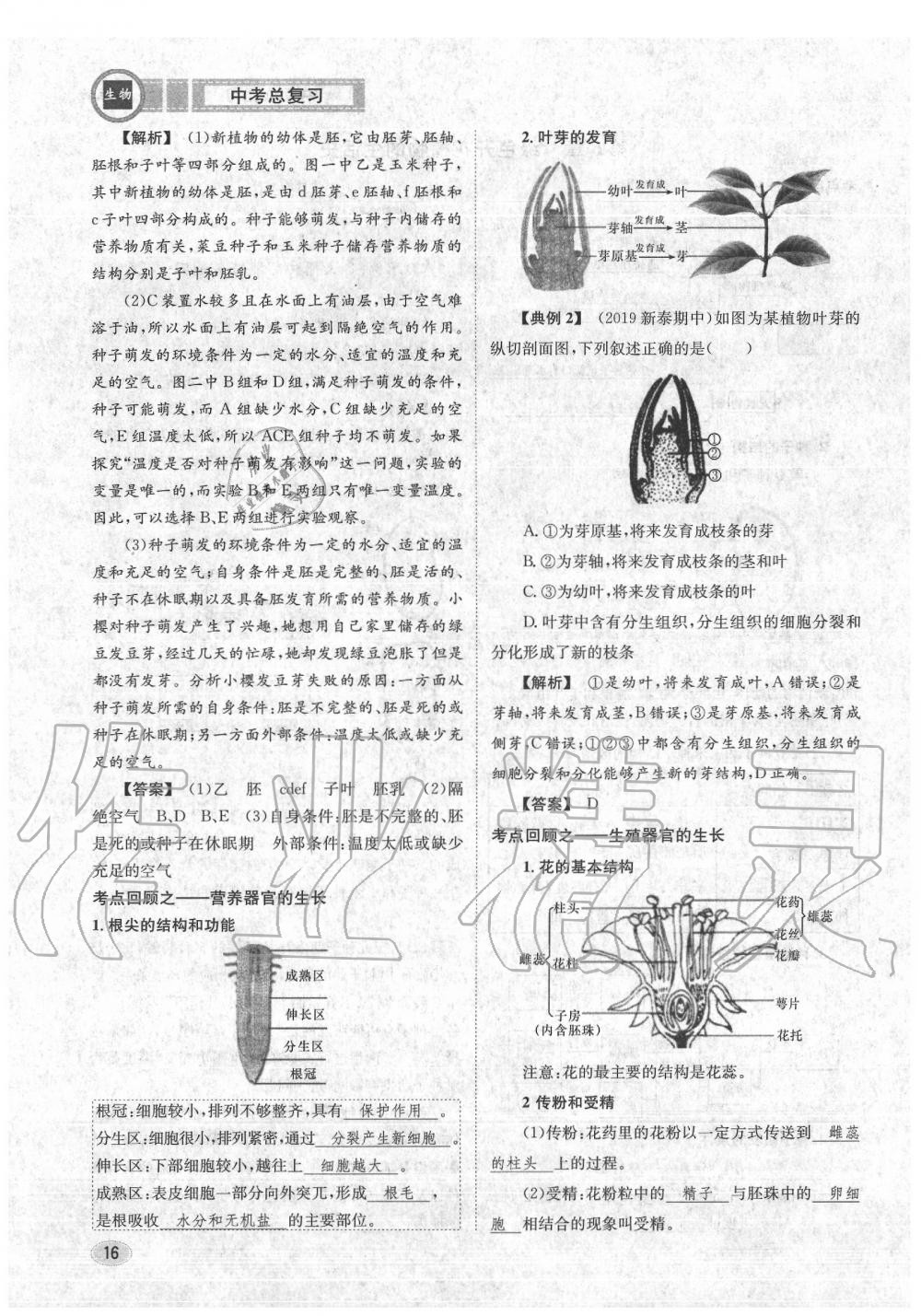 2020年中考總復(fù)習(xí)長(zhǎng)江出版社九年級(jí)生物中考用書 參考答案第17頁(yè)