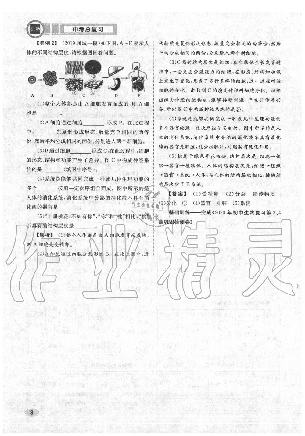 2020年中考總復習長江出版社九年級生物中考用書 參考答案第9頁