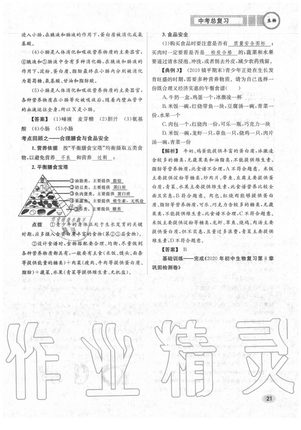 2020年中考總復(fù)習(xí)長(zhǎng)江出版社九年級(jí)生物中考用書 參考答案第22頁(yè)