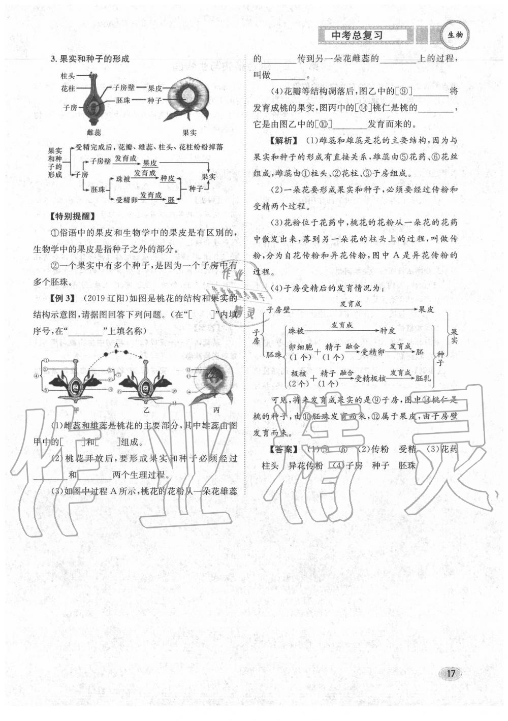 2020年中考總復(fù)習(xí)長江出版社九年級(jí)生物中考用書 參考答案第18頁