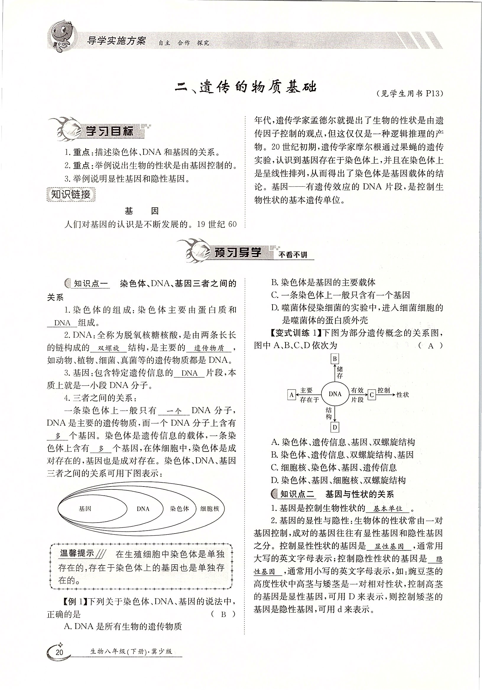 2020年金太陽導(dǎo)學(xué)案八年級(jí)生物下冊(cè)冀少版 第20頁