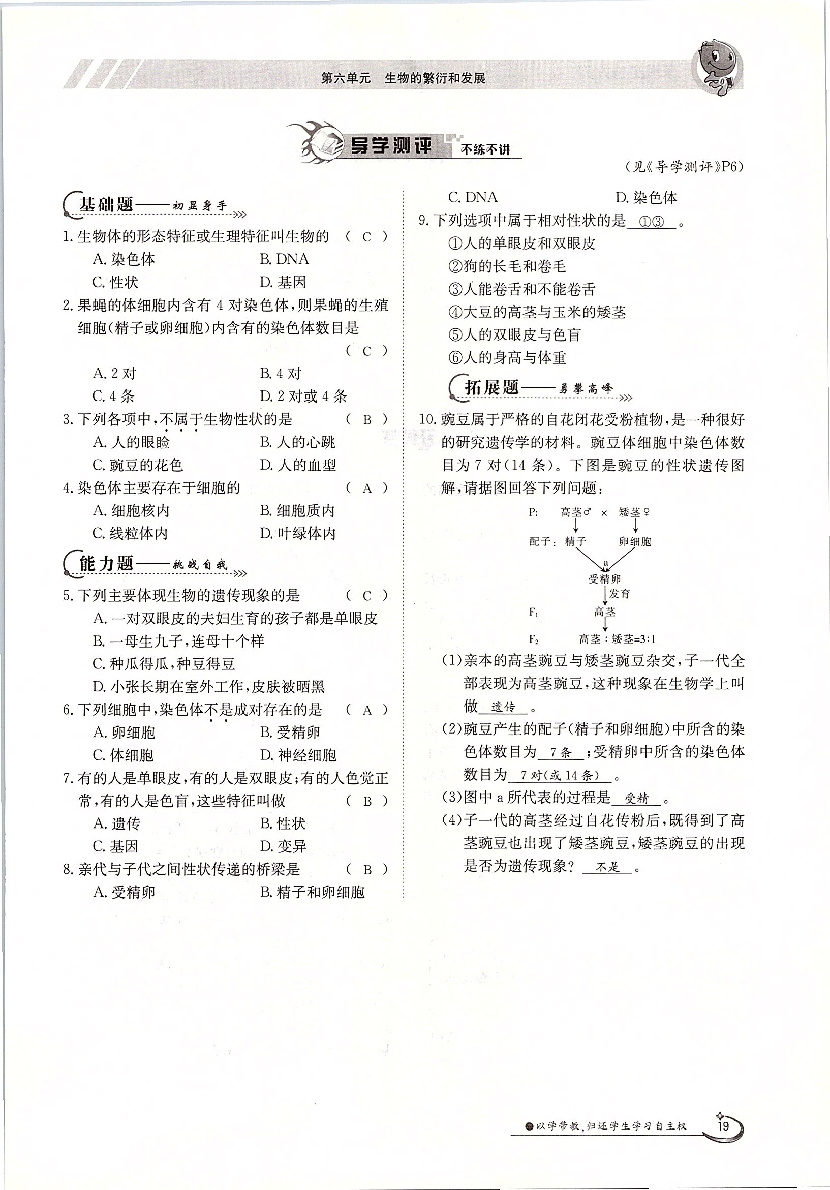 2020年金太陽導(dǎo)學(xué)案八年級(jí)生物下冊冀少版 第19頁