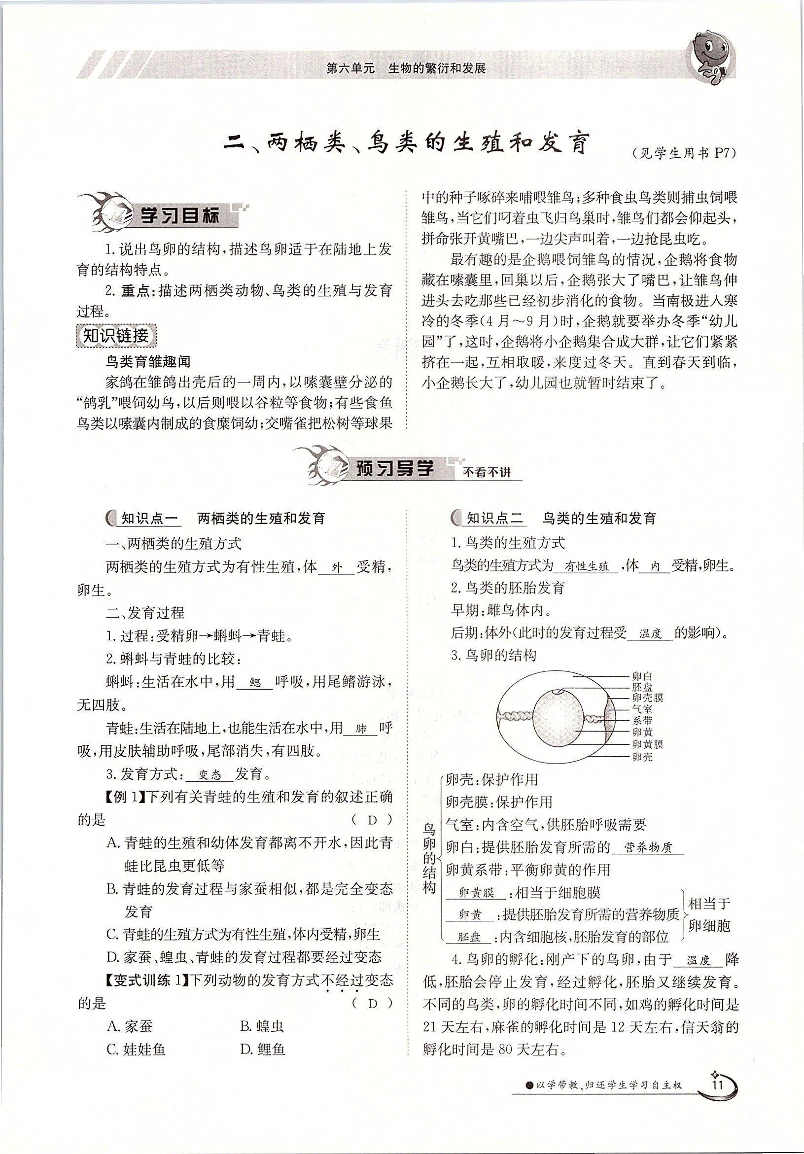 2020年金太陽(yáng)導(dǎo)學(xué)案八年級(jí)生物下冊(cè)冀少版 第11頁(yè)