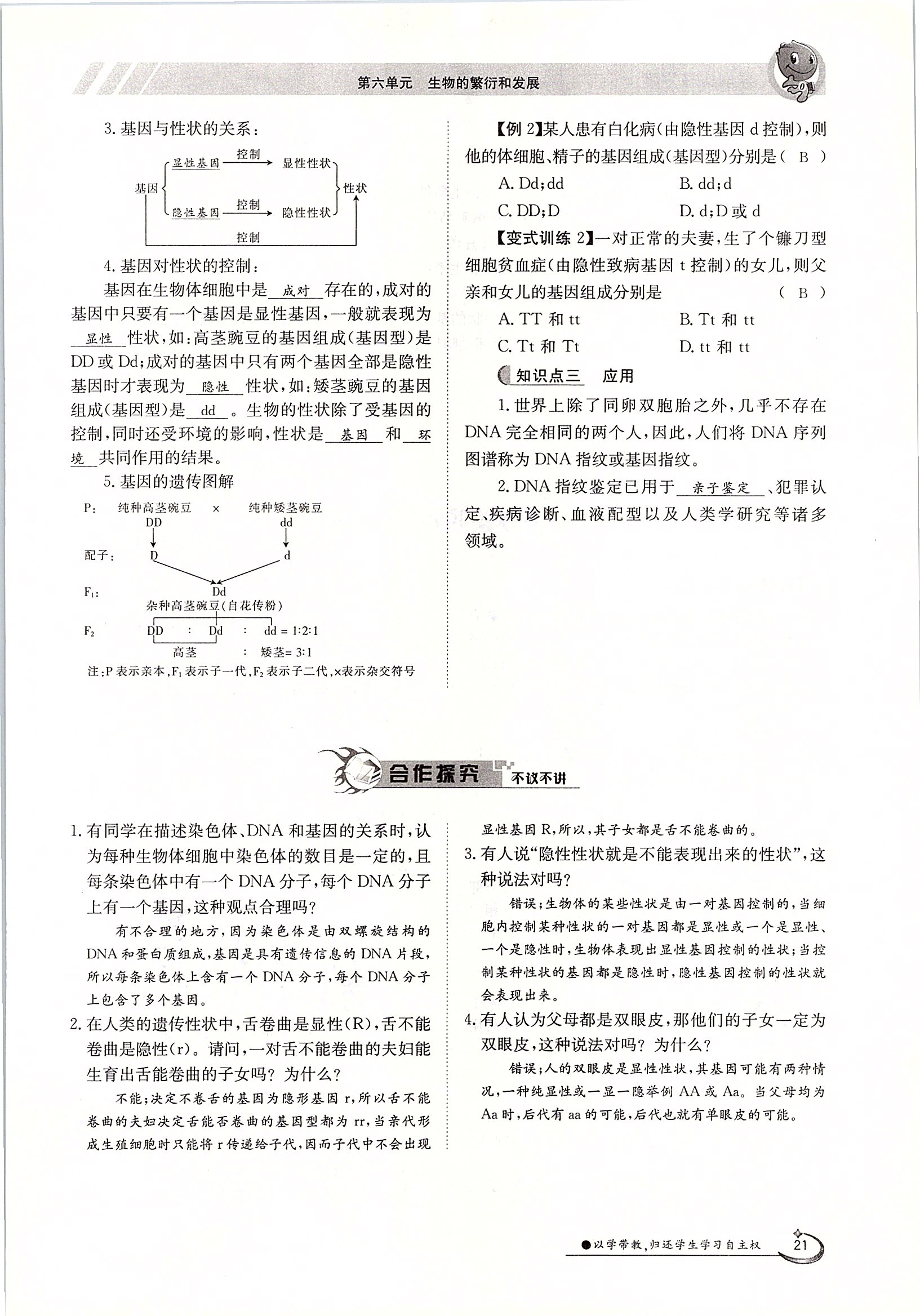 2020年金太陽導(dǎo)學(xué)案八年級(jí)生物下冊冀少版 第21頁