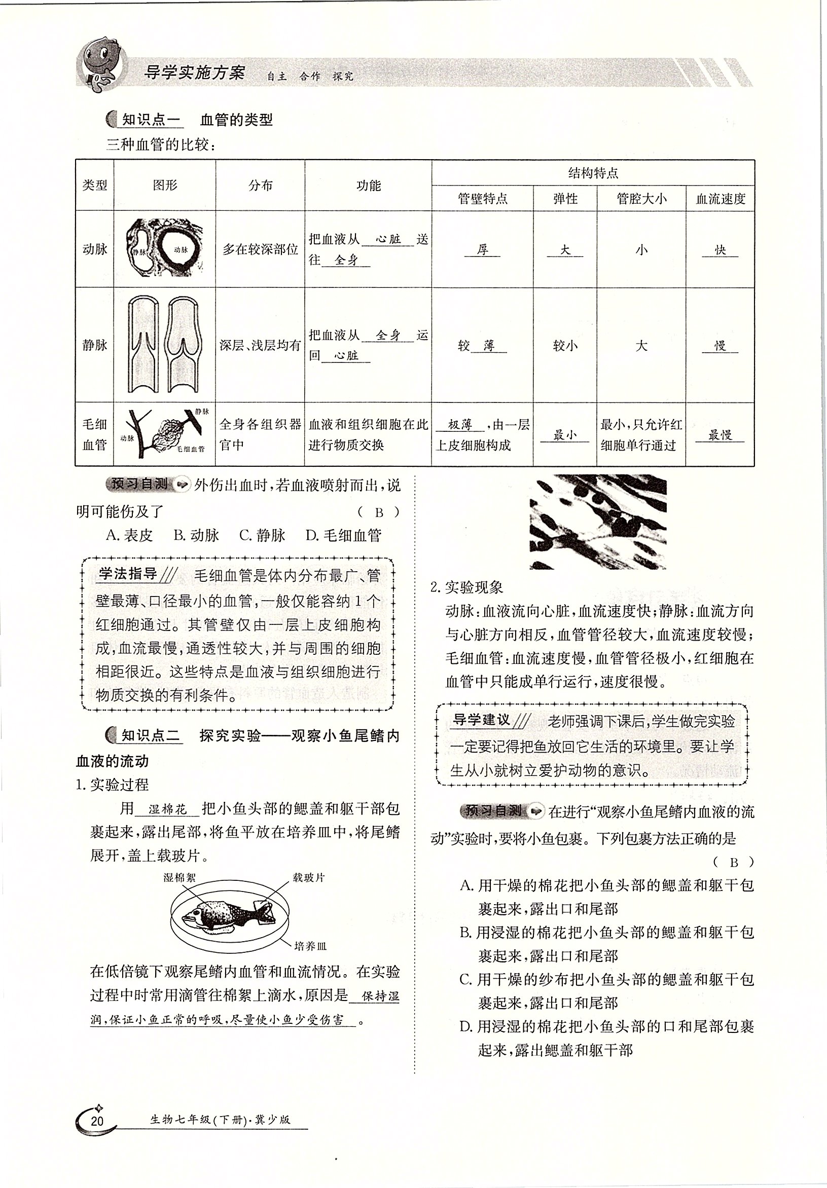 2020年金太阳导学测评七年级生物下册冀少版 第20页