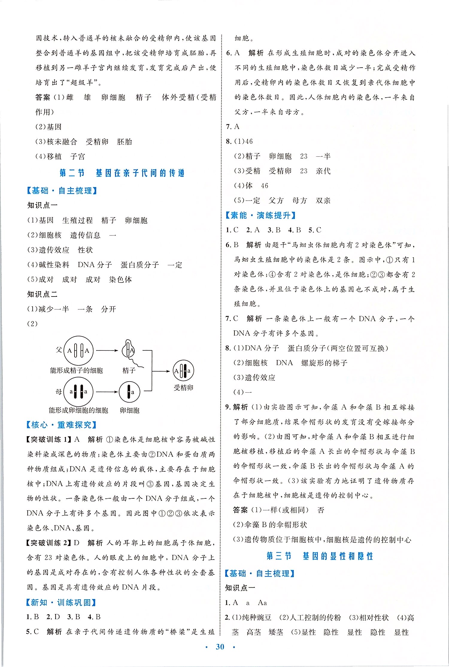 2020年初中同步学习目标与检测八年级生物下册人教版 第6页