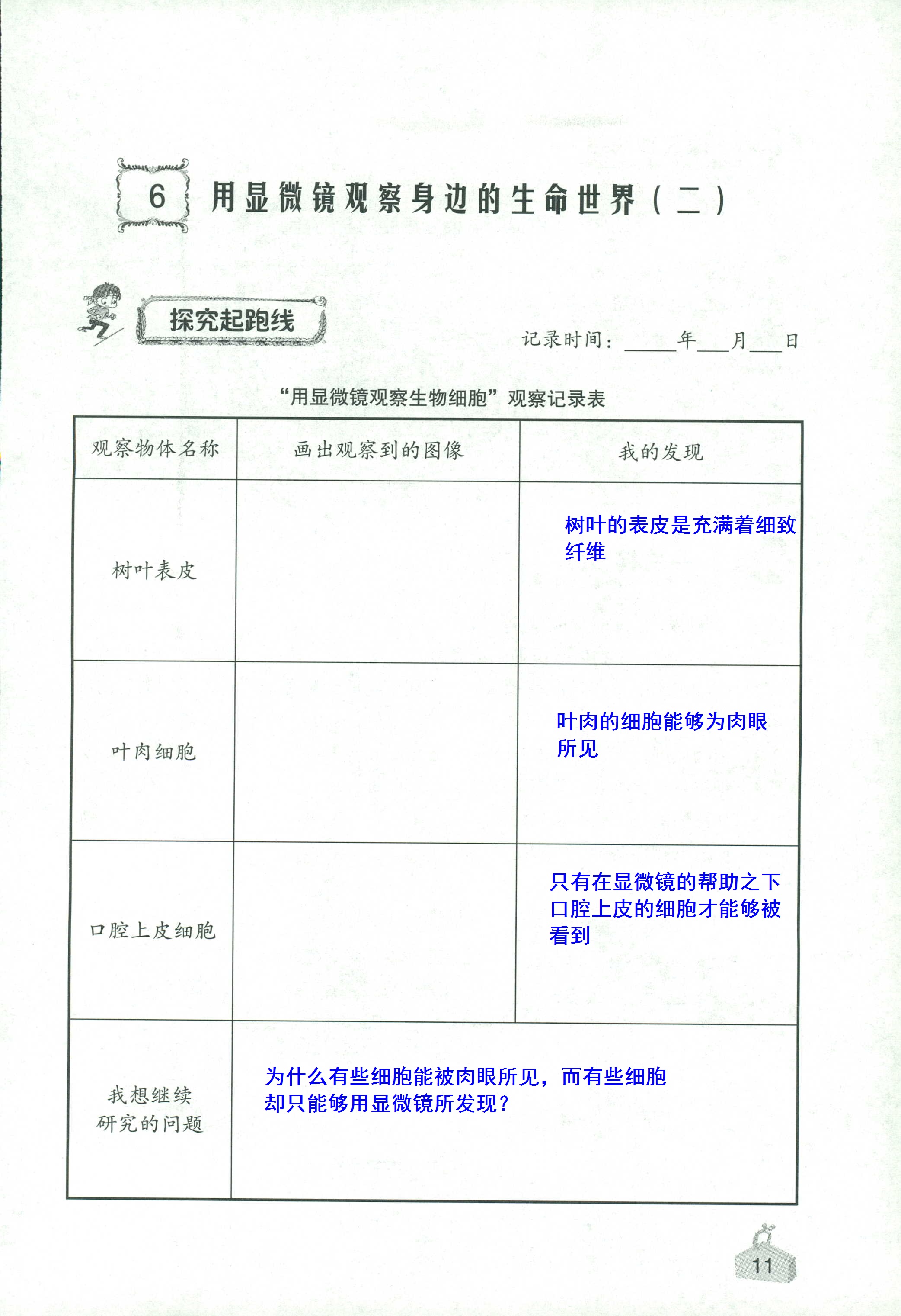 2020年知識與能力訓(xùn)練六年級科學(xué)下冊教科版 第11頁