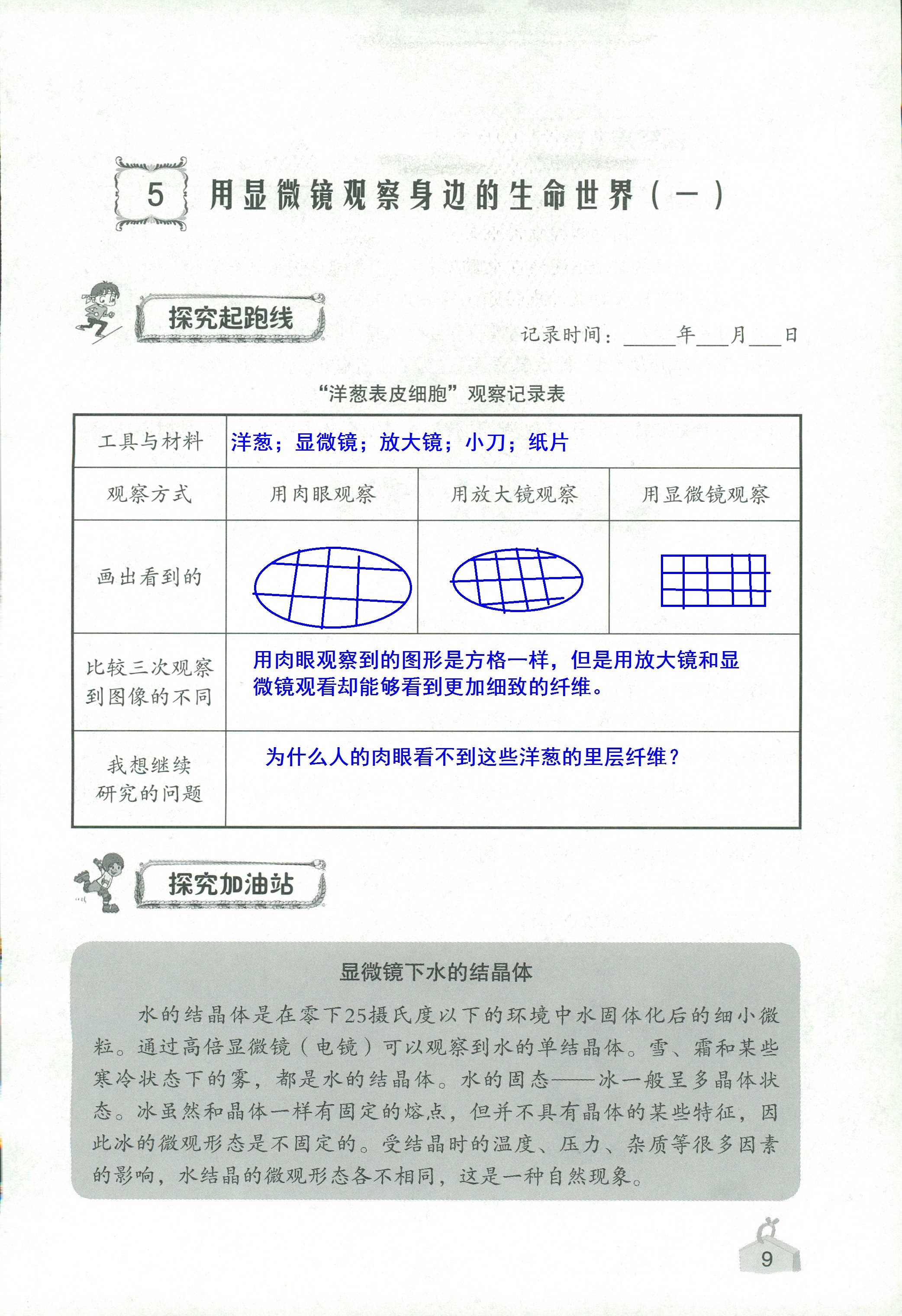 2020年知識與能力訓(xùn)練六年級科學(xué)下冊教科版 第9頁