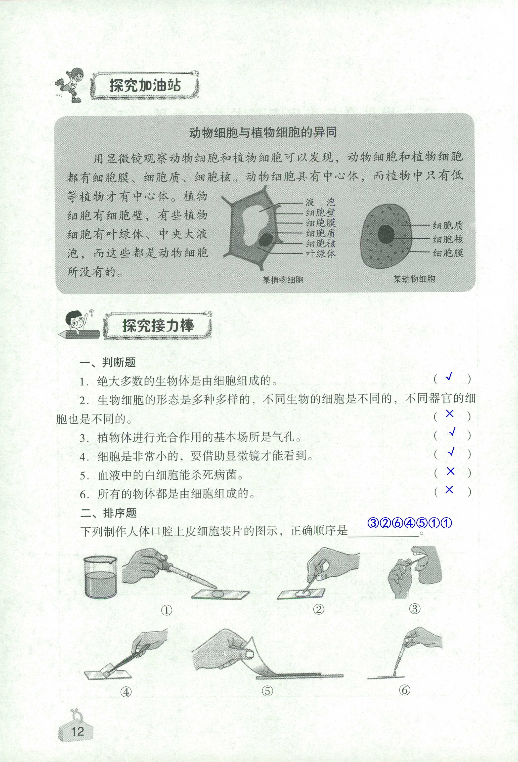 2020年知识与能力训练六年级科学下册教科版 第12页