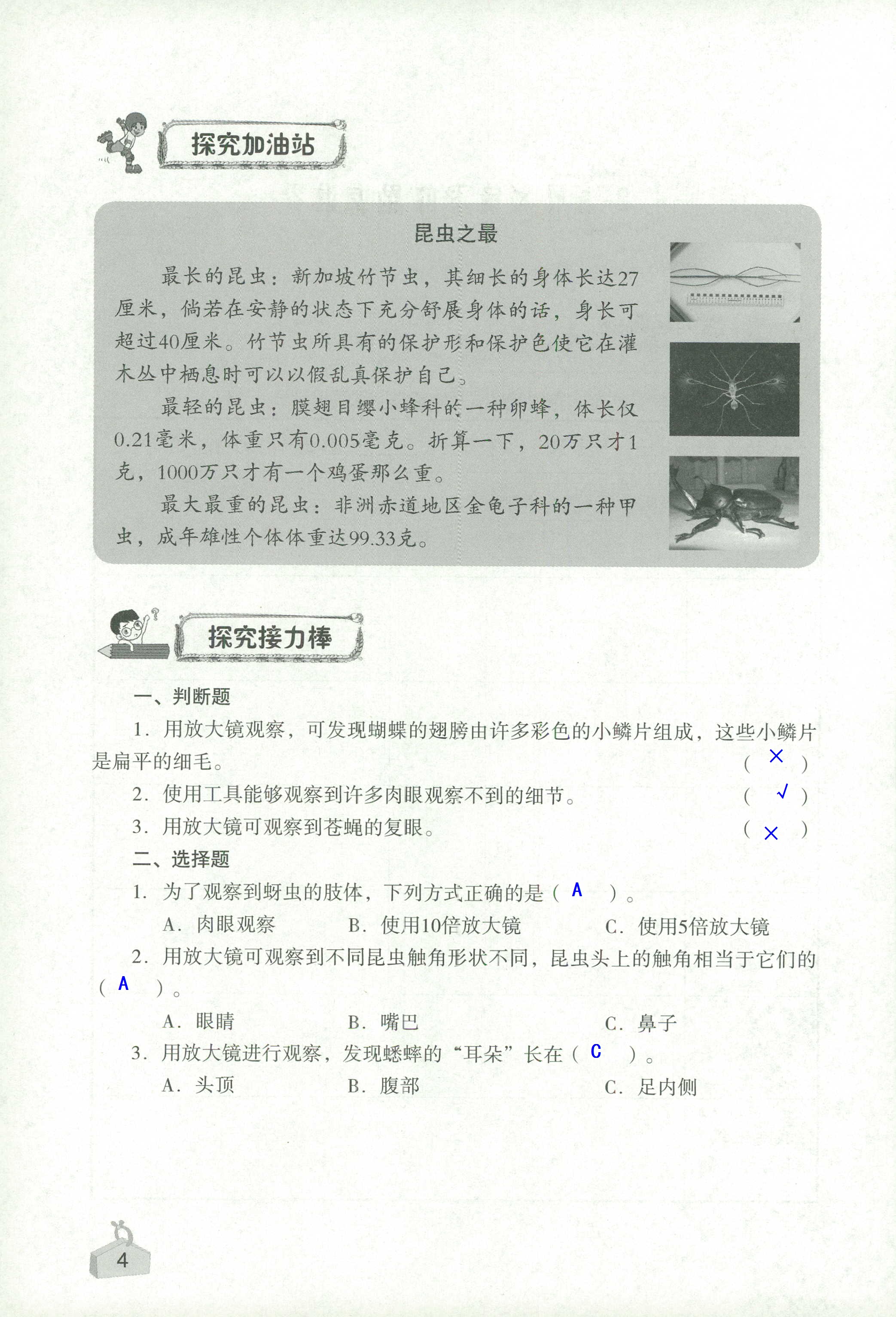 2020年知识与能力训练六年级科学下册教科版 第4页