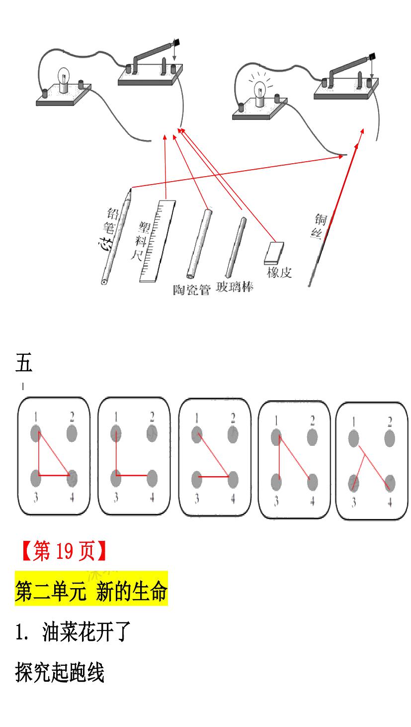 2020年知识与能力训练四年级科学下册教科版 第13页