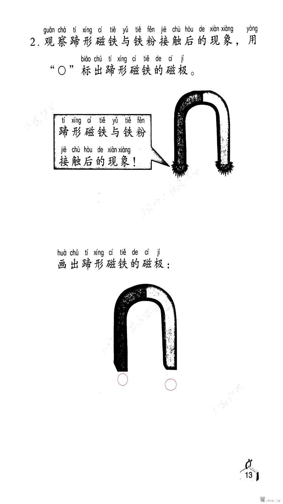 2020年知識與能力訓練二年級科學下冊教科版 第8頁