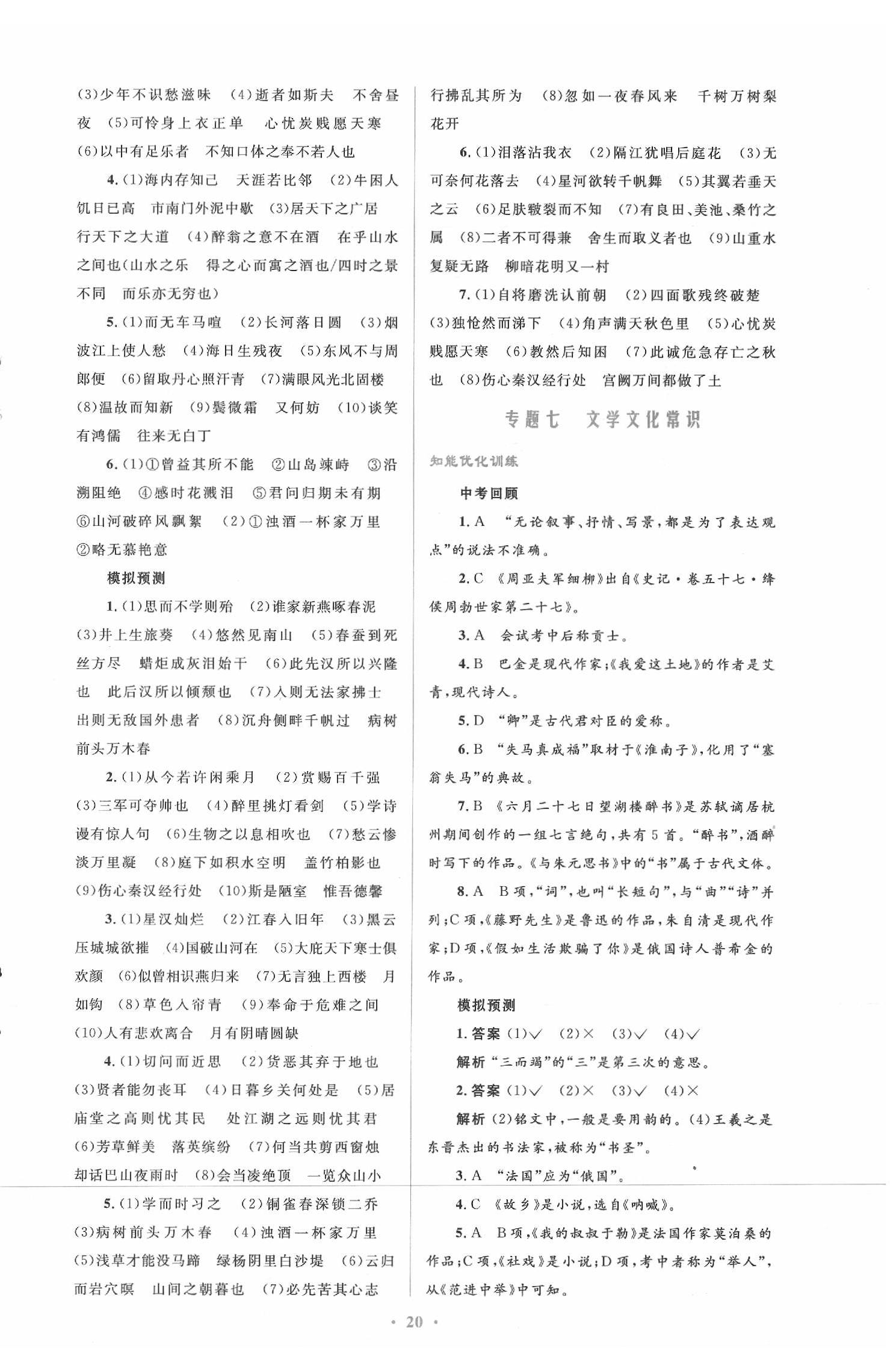 2020年初中總復習優(yōu)化設計語文 第4頁